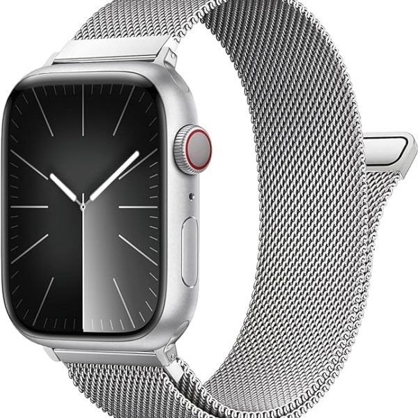 Stainless Steel Loop Magnetic Clasp Replacement band